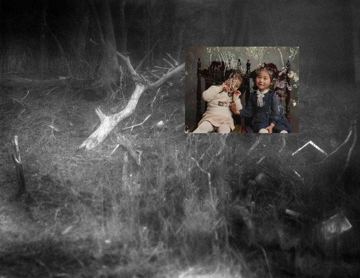 Mayumi Suzuki – The Restoration Will